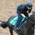 【１３日の注目・中山５Ｒ】重賞２勝馬を母に持つスローブギ　ミシェル騎手とともにデビュー戦Ｖへ