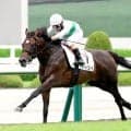 【阪神５Ｒ・２歳新馬】往年のファン感激！　近親にナリタブライアン＆ビワハヤヒデがいるブラッドバローズが逃げ切り初陣Ｖ