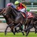セントライト記念は末脚がポイント 前走日本ダービー組が近10回で5勝