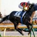 【セントライト記念予想】菊花賞への出走権かかるトライアル 長く良い脚問われる中山芝2200m