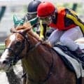 母は名牝グランアレグリア グランマエストロが初勝利なるか