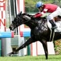 【阪神２Ｒ】藤田晋オーナーの１・４億円馬ブレイクガールが３戦目でＶ　ルメール騎手「エンジンがかかるまでに...」