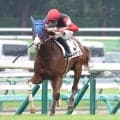 【中山２Ｒ】バーイード産駒がＪＲＡ初勝利！テキサスが決めた　岩田望来騎手「馬場が他の馬より得意だったのかな」