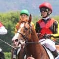 超良血馬グランマエストロはラストチャンスも初勝利届かずネット悲痛「厳しい世界」「地方なんやろか」