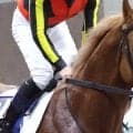 【中山４Ｒ】「二の脚が全然つかず…」池添謙一騎手は首をかしげる　超良血グランマエストロは未勝利突破ならず８着