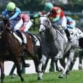 【阪神5R新馬戦結果】ゴールドシップ産駒マイネルグリモアが接戦を制してV