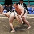 御室岳から磐受に改名　申し出に伊勢ケ浜親方が快諾「そういう面で寛大です」