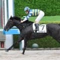 【阪神６Ｒ】超堅実派が「ラスト未勝利」で驚きの３馬身差Ⅴ　「上のクラスでも」ルメール騎手高評価のビッグヒーロー