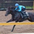 日曜中山競馬場の注目激走馬…中山１１Ｒセントライト記念・Ｇ２