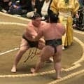 “史上最強の新弟子”旭富士　最速タイの新十両へ白星発進【秋場所】