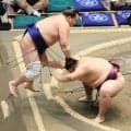 新十両の時不動が白星発進「執念で残した」　夏場所前に吉井から改名