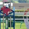 香港馬ファストネットワークはスプリンターズS回避