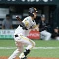 【ソフトバンク】左膝痛めた周東佑京はベンチ外　代役に川村友斗が今季２度目のスタメン