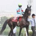 【ローズＳ】イクイノックスの全妹イクシードは追い込み届かず３着で重賞初制覇ならず　秋華賞切符は獲得