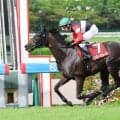 【ローズＳ】強ぇ！令和のファインモーション大楽勝！　モンローウォークが無傷４連勝で重賞初挑戦Ｖ　ジュウリョクピエロに挑戦状