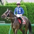 【ローズＳ】重賞馬タイセイボーグまさかの最下位　チューリップ賞以来６か月半ぶり復帰戦も１２着　