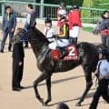 【セントライト記念】６番人気アウダーシアが３着　最後に首差かわし菊花賞切符ゲット　津村明秀騎手「距離が延びても...」