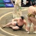 新十両の丹治が黒星発進「持っているものを出せなかった」
