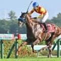 【JRA・WIN5】本日のWIN5は的中989票、配当49万7900円