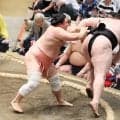 人気幕内力士の宇良が白星発進で大歓声　夏巡業では猛稽古重ね高田川巡業部長「休まないのが宇良のペース」