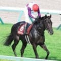 【セントライト記念】サヴォアフェール２着で菊花賞切符　「あと少しでした」惜しくも２日連続重賞Ｖ逃した松山弘平騎手