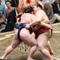 大関昇進を目指す熱海富士が好スタート　豪ノ山に勝利　今場所１２勝ならば、昇進の目安に到達