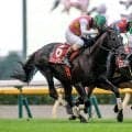 【阪神JS】ジューンベロシティ、ホウオウプロサンゲなどが登録