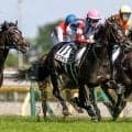 【神戸新聞杯】ロブチェン、コンジェスタスなどが登録