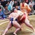 熱海富士、大関とりへ好発進　八角理事長「前に出ようとする気持ちが強い」心技体充実を称賛