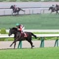 【秋華賞を占う】モンローウォークの登場で勢力図に変化　トライアルを終えての本番の見立ては？　