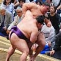 「富士」「富士」「富士」VS「ノ」「ノ」「ノ」秋場所初日しこ名で珍現象「琴」「朝」も３連続