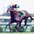 【競走伝】伝説の大逃げ！究極の個性派ツインターボがライスシャワーら強豪馬を撃破　「後ろから来る馬の足音は...」 ９３年オールカマー