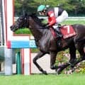 【ローズＳ】令和のファインモーション、モンローウォーク３馬身差再現大楽勝