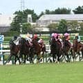 “遅れてきた大器”フサイチソニックがGI馬2頭を撃破 00年神戸新聞杯を回想