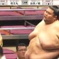「土俵が…」合計“500キロ”に迫る超重量対決 あまりのド迫力に「土俵の悲鳴が聞こえそう」ユニークな反応も