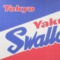 ヤクルト　１４日・広島戦で開催予定だった「シャンパン　ル・レーヴ・ブリヤン　Ｄａｙ」を急きょ中止発表　諸般の事情で