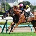 【オールカマー・坂本の特注馬】前走内容が非常に優秀なパンジャ　実績馬相手に番狂わせも十分