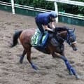 【野路菊Ｓ・ヤマタケの特注馬】阪神２歳戦最速の上がりだったジーティーサクラの新馬Ｖは相手陣営も脱帽　衝撃の第２幕に期待