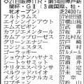 【神戸新聞杯展望】史上９頭目の３冠馬へロブチェンが始動　コンジェスタスやアルトラムスなど春の実績馬が逆転を狙う