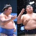 【２日目の見所】八角理事長が新三役・藤ノ川を絶賛　「稽古をしっかりやっている感じがする」