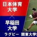 早稲田大学が盤石セットプレーで好スタート。日本体育大学もFL岡部主将、NO8西田筆頭に奮闘。関東大学対抗戦