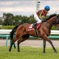 【オールカマー想定騎手】レガレイラは戸崎圭太騎手、コスモキュランダは横山武史騎手