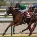 【先週のJRA抹消馬】25年チューリップ賞覇者クリノメイ、23年の皐月賞4着馬メタルスピードなど