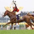 「本当に愛すべき存在」菊花賞馬オウケンブルースリが余生を過ごしたうらかわ優駿ビレッジＡＥＲＵスタッフの追悼全文