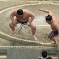 横綱、大関陣は２日連続で安泰　大の里は快勝　綱取りの霧島、大関昇進目指す熱海富士はともに危なげなく勝利