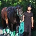 【神戸新聞杯】ロブチェン始動戦に杉山晴調教師「当然、立場的に勝たなければならない」過去３冠馬は勝利してきた一戦