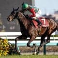 【AI予想・オールカマー】人工知能は中山での好走実績を重視!? 中山に高い適性を示す本命候補3頭とは