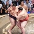 連勝の熱海富士に八角理事長「強い」浅香山審判長「自信になる」大関とりへ盤石スタート