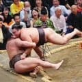 綱とりの霧島も大関とりの熱海富士も連勝発進、新入幕の寿之富士と新十両の丹治が初勝利