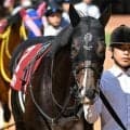 【神戸新聞杯】セレクト5.9億円のエムズビギン 史上最高価格のJRA重賞勝ち馬となるか